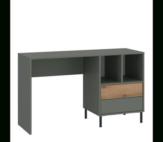 Darwin Desk 2 Drawer in Green/Oak