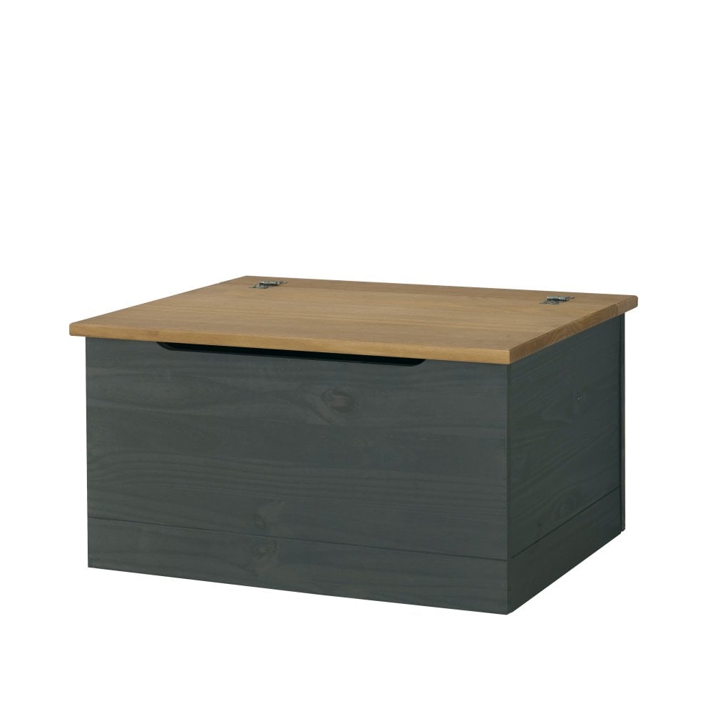 Corona Storage Trunk Carbon Grey