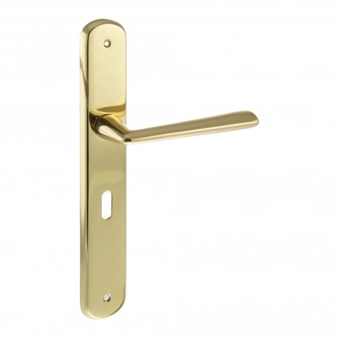 Forme Brigitte Lever On Key Backplate Pair Of Door Handles In Polished Brass